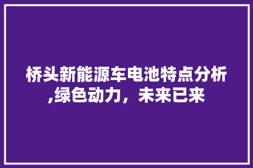 桥头新能源车电池特点分析,绿色动力，未来已来
