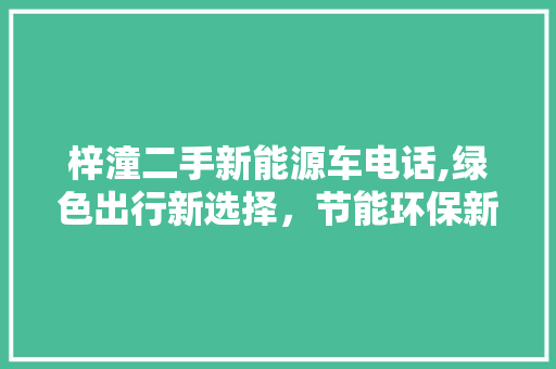 梓潼二手新能源车电话,绿色出行新选择，节能环保新风尚