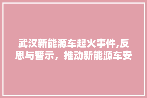 武汉新能源车起火事件,反思与警示，推动新能源车安全发展