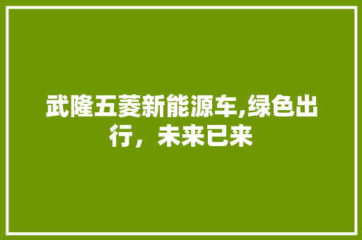 武隆五菱新能源车,绿色出行，未来已来