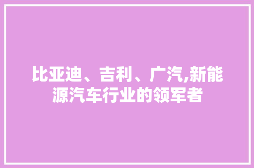 比亚迪、吉利、广汽,新能源汽车行业的领军者