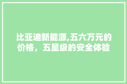 比亚迪新能源,五六万元的价格，五星级的安全体验