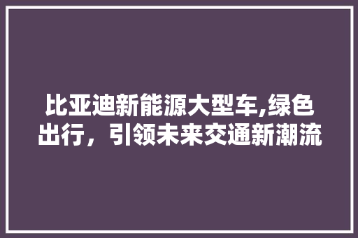 比亚迪新能源大型车,绿色出行，引领未来交通新潮流