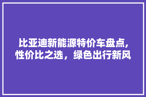 比亚迪新能源特价车盘点,性价比之选，绿色出行新风尚
