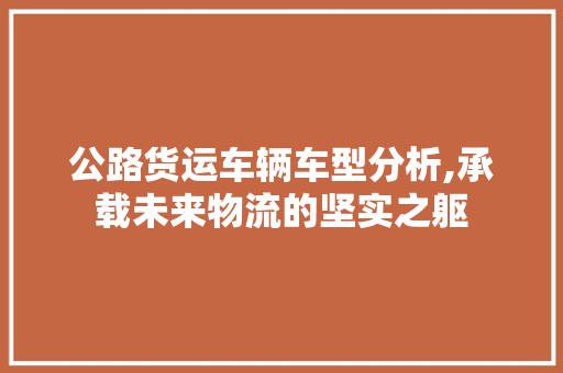 公路货运车辆车型分析,承载未来物流的坚实之躯