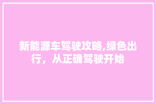 新能源车驾驶攻略,绿色出行，从正确驾驶开始