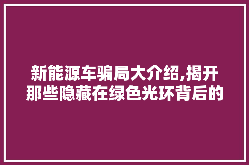 新能源车骗局大介绍,揭开那些隐藏在绿色光环背后的真相