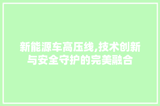 新能源车高压线,技术创新与安全守护的完美融合