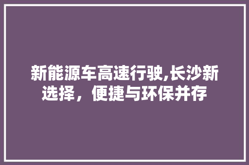 新能源车高速行驶,长沙新选择，便捷与环保并存