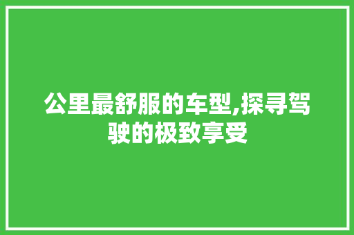 公里最舒服的车型,探寻驾驶的极致享受