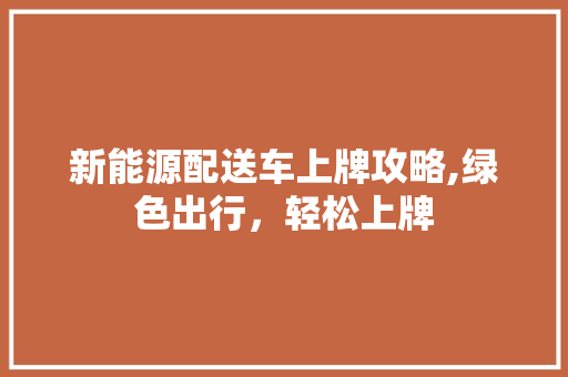 新能源配送车上牌攻略,绿色出行，轻松上牌