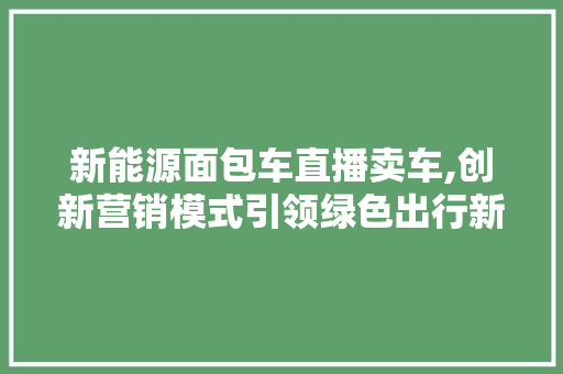 新能源面包车直播卖车,创新营销模式引领绿色出行新潮流