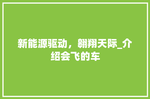 新能源驱动，翱翔天际_介绍会飞的车
