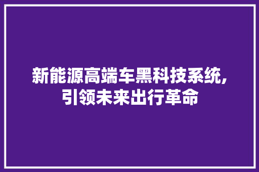 新能源高端车黑科技系统,引领未来出行革命