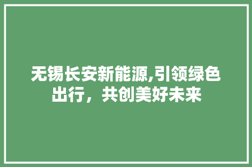 无锡长安新能源,引领绿色出行，共创美好未来