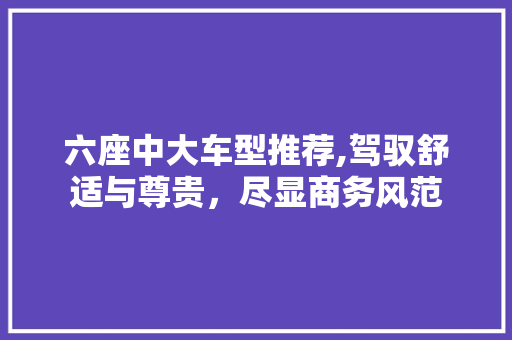 六座中大车型推荐,驾驭舒适与尊贵，尽显商务风范