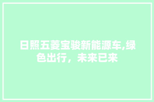 日照五菱宝骏新能源车,绿色出行，未来已来 车载导航