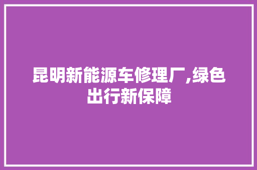昆明新能源车修理厂,绿色出行新保障