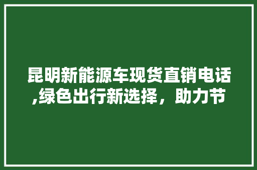 昆明新能源车现货直销电话,绿色出行新选择，助力节能减排