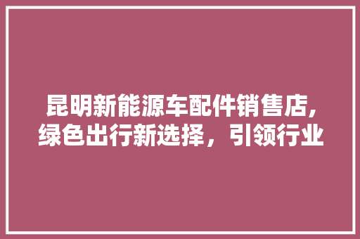 昆明新能源车配件销售店,绿色出行新选择，引领行业潮流