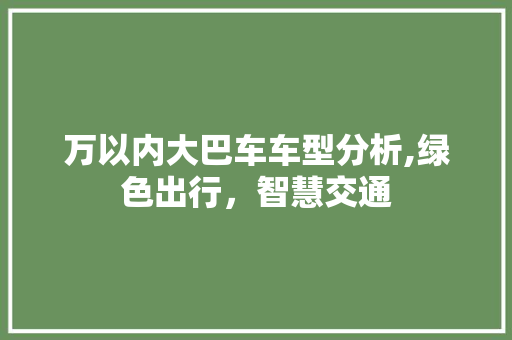 万以内大巴车车型分析,绿色出行，智慧交通