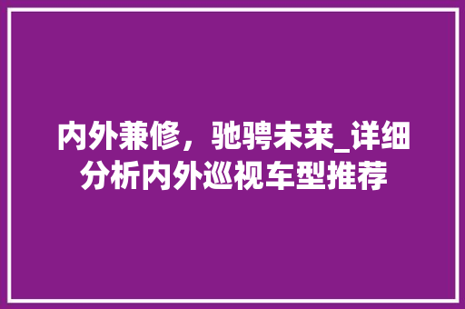 内外兼修，驰骋未来_详细分析内外巡视车型推荐