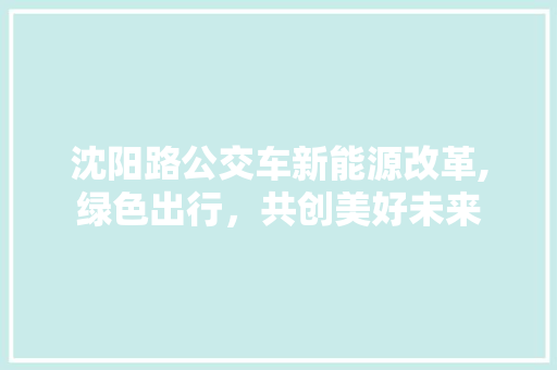 沈阳路公交车新能源改革,绿色出行，共创美好未来