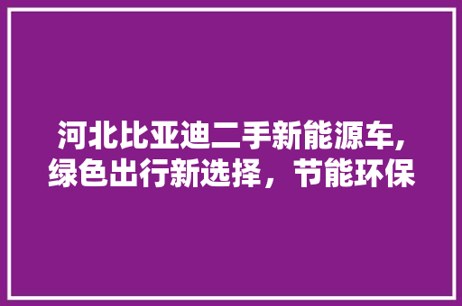 河北比亚迪二手新能源车,绿色出行新选择，节能环保新潮流