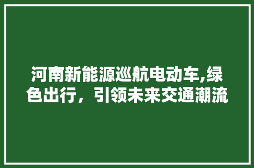 河南新能源巡航电动车,绿色出行，引领未来交通潮流