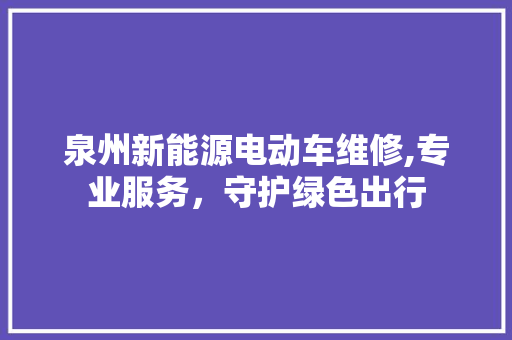 泉州新能源电动车维修,专业服务，守护绿色出行 新能源汽车