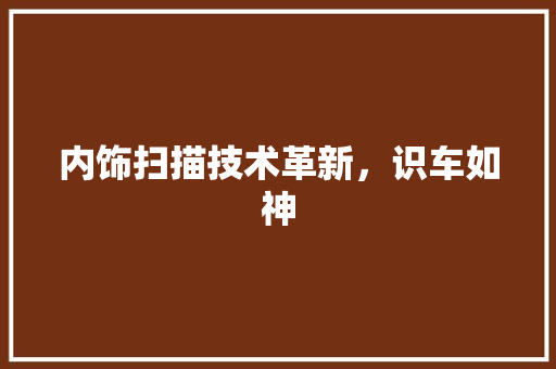 内饰扫描技术革新，识车如神
