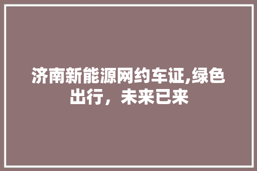 济南新能源网约车证,绿色出行，未来已来