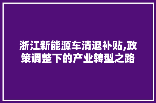 浙江新能源车清退补贴,政策调整下的产业转型之路