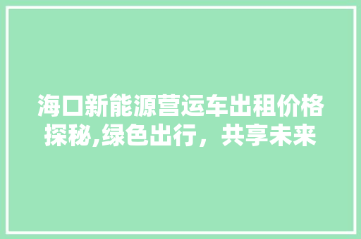 海口新能源营运车出租价格探秘,绿色出行，共享未来