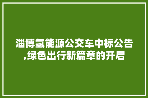 淄博氢能源公交车中标公告,绿色出行新篇章的开启