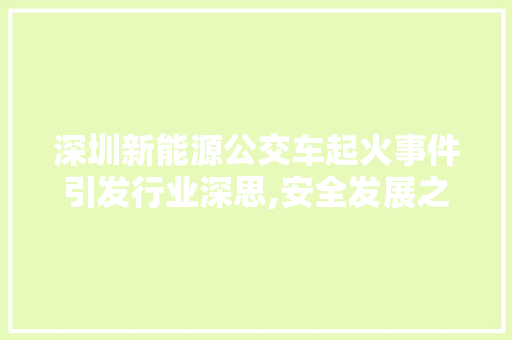 深圳新能源公交车起火事件引发行业深思,安全发展之路在何方