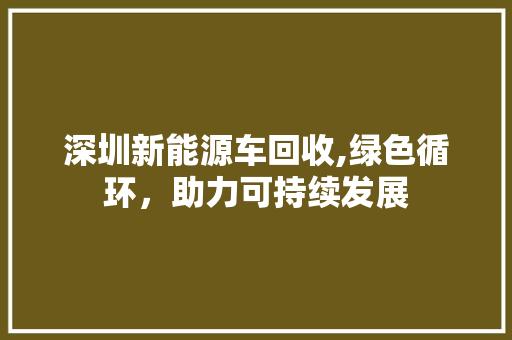 深圳新能源车回收,绿色循环，助力可持续发展