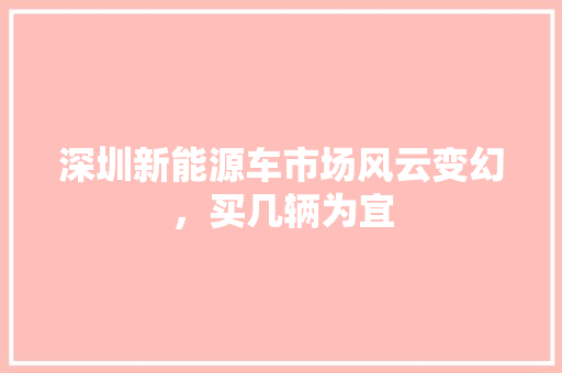 深圳新能源车市场风云变幻，买几辆为宜