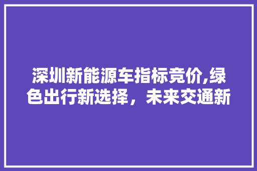 深圳新能源车指标竞价,绿色出行新选择，未来交通新趋势