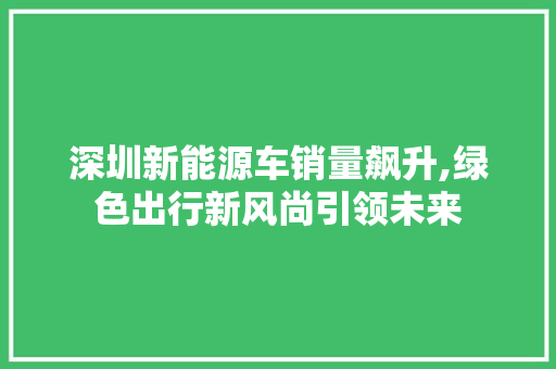 深圳新能源车销量飙升,绿色出行新风尚引领未来 车联网技术