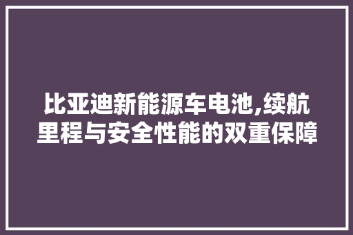 比亚迪新能源车电池,续航里程与安全性能的双重保障