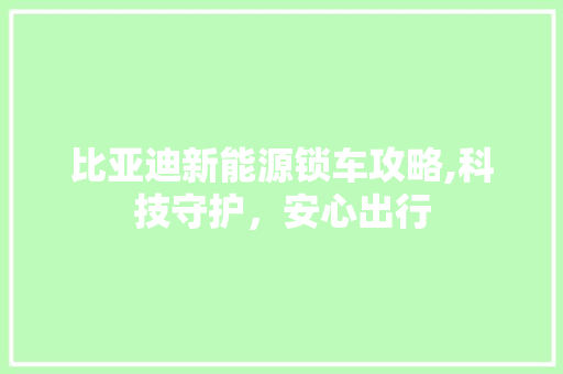 比亚迪新能源锁车攻略,科技守护，安心出行