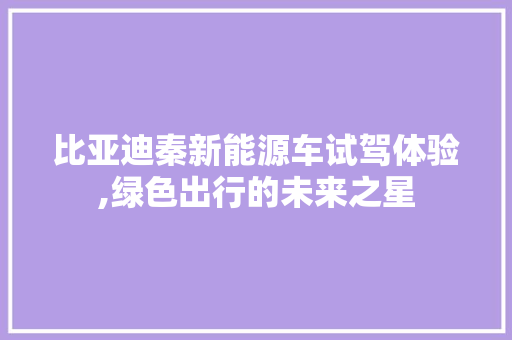 比亚迪秦新能源车试驾体验,绿色出行的未来之星