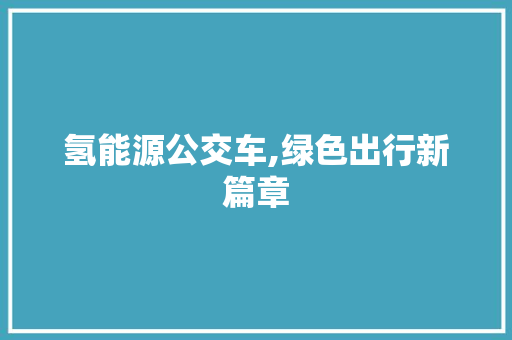 氢能源公交车,绿色出行新篇章