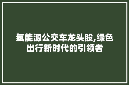 氢能源公交车龙头股,绿色出行新时代的引领者