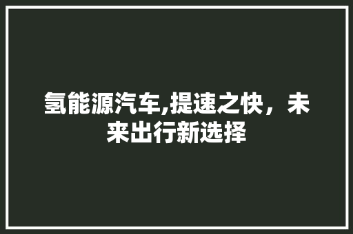 氢能源汽车,提速之快，未来出行新选择