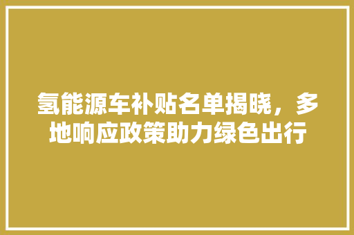 氢能源车补贴名单揭晓，多地响应政策助力绿色出行
