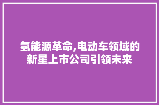 氢能源革命,电动车领域的新星上市公司引领未来
