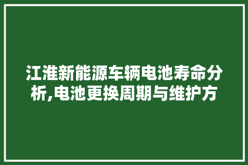 江淮新能源车辆电池寿命分析,电池更换周期与维护方法