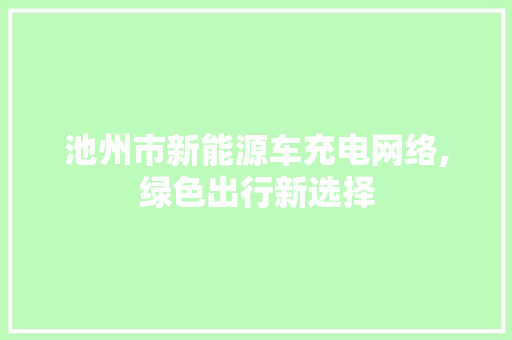 池州市新能源车充电网络,绿色出行新选择 自动驾驶